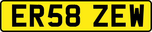 ER58ZEW