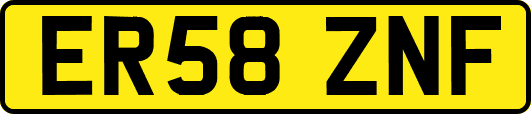 ER58ZNF