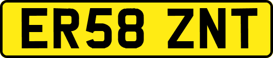ER58ZNT