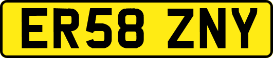 ER58ZNY