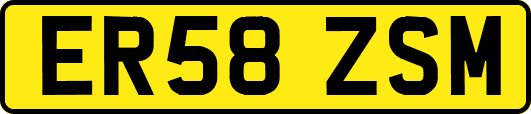 ER58ZSM