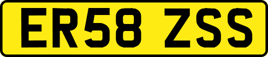 ER58ZSS