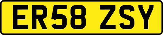 ER58ZSY