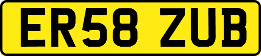 ER58ZUB