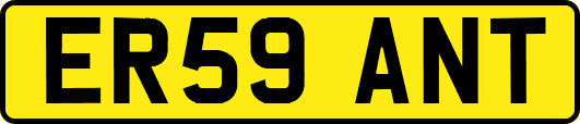 ER59ANT
