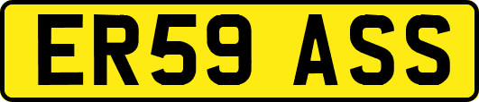 ER59ASS