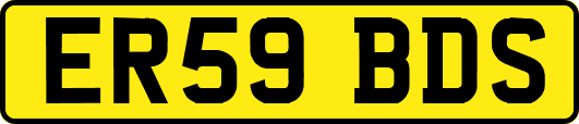 ER59BDS