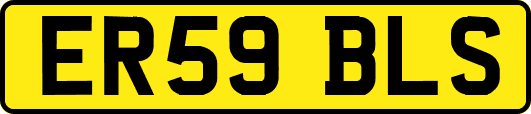 ER59BLS