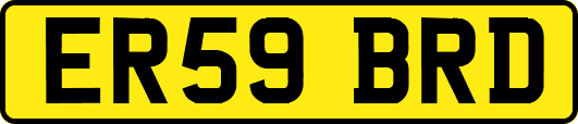ER59BRD