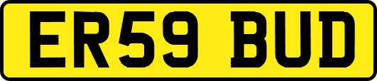 ER59BUD