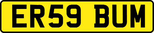 ER59BUM