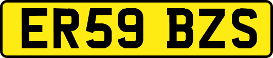 ER59BZS