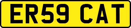 ER59CAT