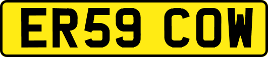ER59COW