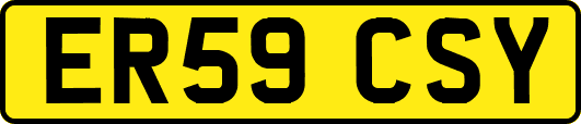 ER59CSY