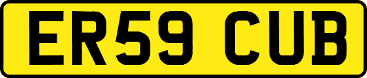 ER59CUB