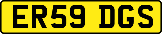 ER59DGS