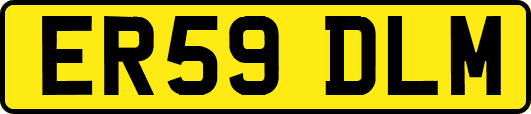 ER59DLM