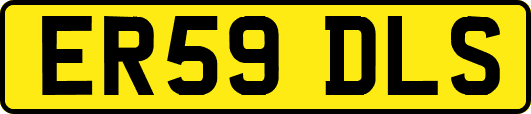 ER59DLS