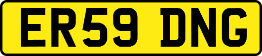 ER59DNG