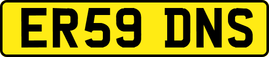 ER59DNS