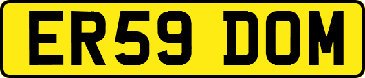 ER59DOM