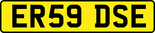 ER59DSE