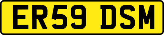 ER59DSM