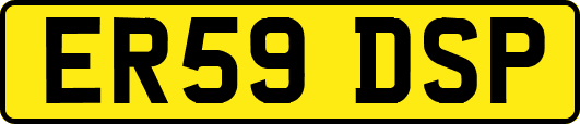ER59DSP