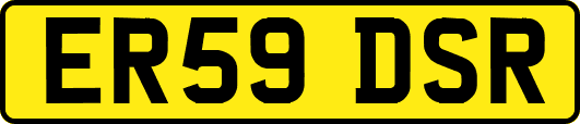 ER59DSR