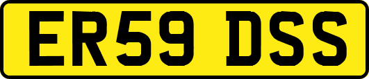 ER59DSS
