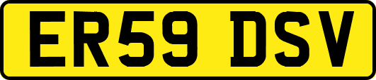 ER59DSV