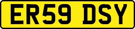 ER59DSY