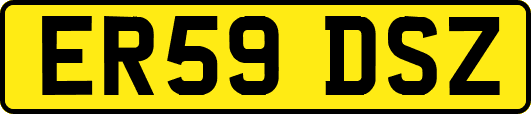 ER59DSZ