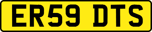ER59DTS