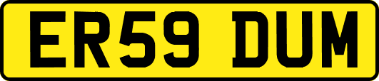 ER59DUM