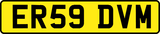 ER59DVM
