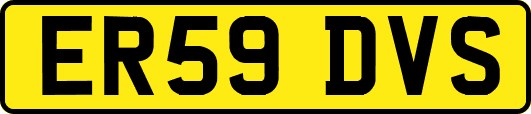 ER59DVS