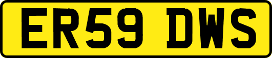 ER59DWS