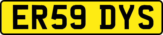 ER59DYS