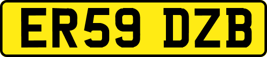 ER59DZB