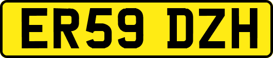ER59DZH