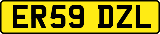 ER59DZL