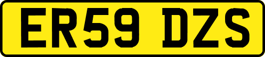 ER59DZS
