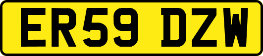ER59DZW