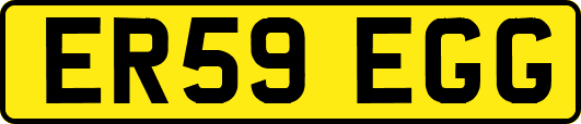 ER59EGG
