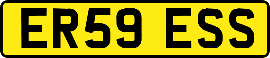 ER59ESS