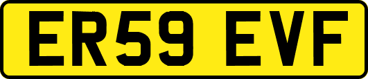 ER59EVF
