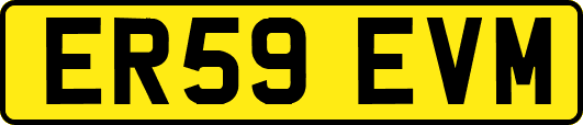ER59EVM