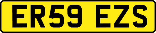 ER59EZS